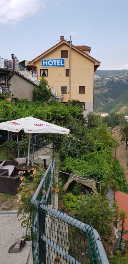 Hotel Alina Cangas De Narcea Eksteriør bilde