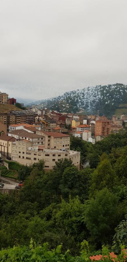 Hotel Alina Cangas De Narcea Eksteriør bilde